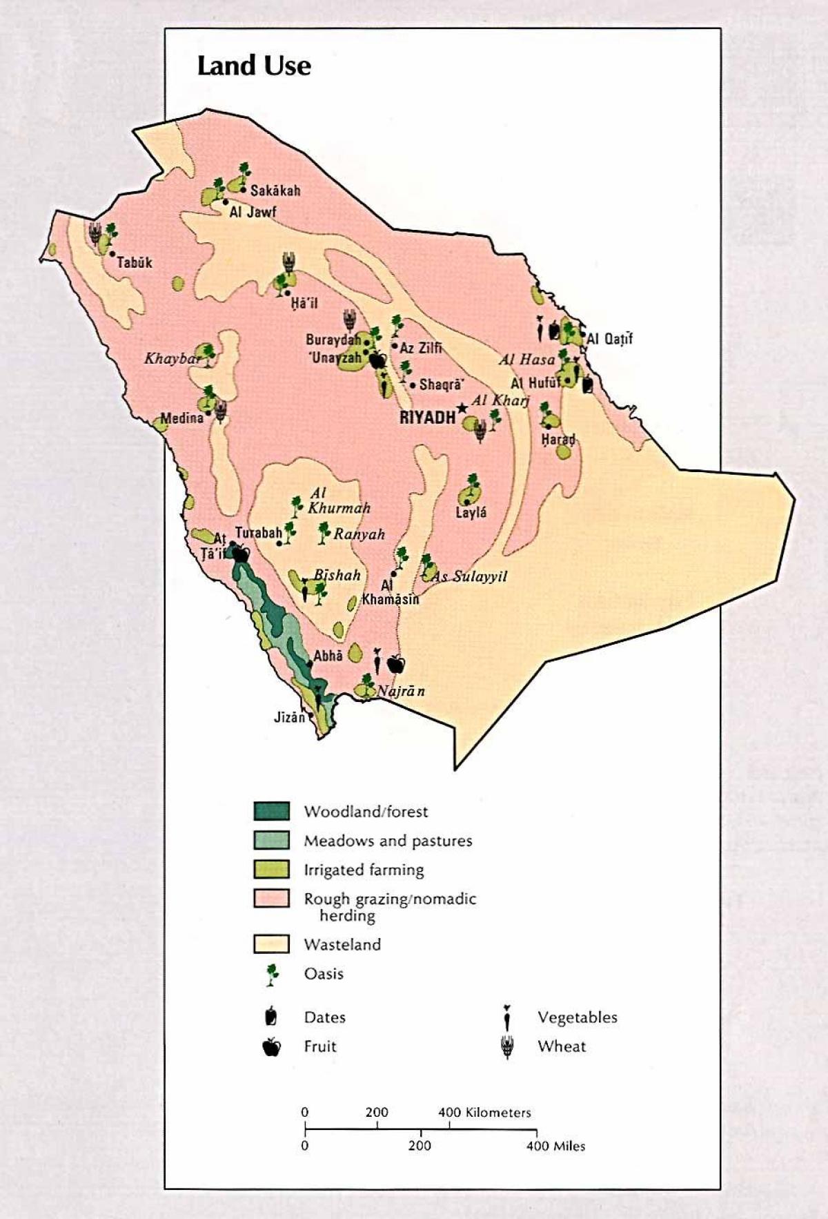 Mapa de Arabia Saudita de los recursos naturales